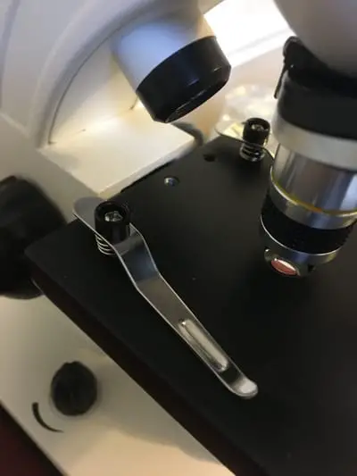 Microscope rack stop
