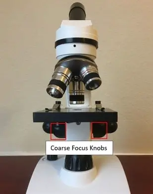 Microscope coarse adjustment knobs