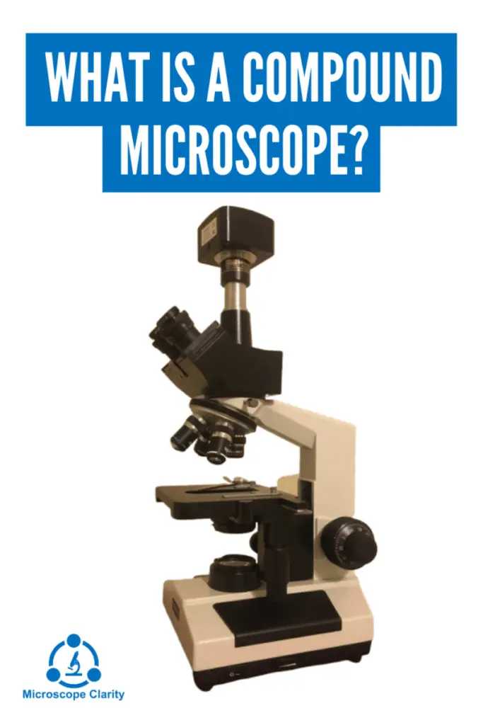 What is a Compound Microscope? Microscope Clarity