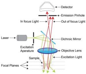 Different Types of Microscopes: A Complete Breakdown – Microscope Clarity