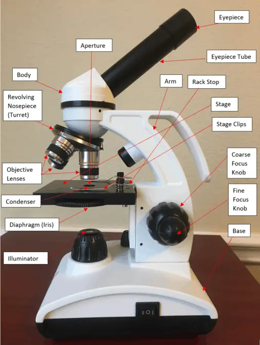 16 Parts of a Compound Microscope Diagrams and Video Microscope Clarity