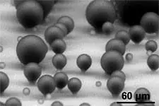 Effect of Droplet Morphology on Growth Dynamics and Heat Transfer during Condensation on Superhydrophobic Nanostructured Surfaces