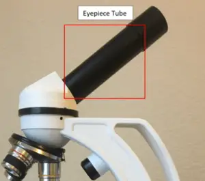 function of eyepiece tube in compound microscope