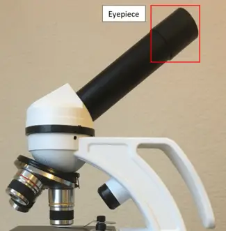 Microscope eyepiece