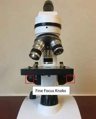 Microscope fine adjustment knobs