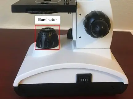 Microscope illuminator