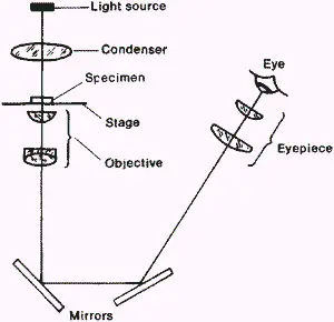 Parts of an inverted microscope