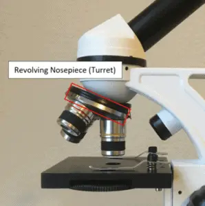 Prevent Microscope Disaster Proper Rotating Nosepiece Care - wcqfw3a