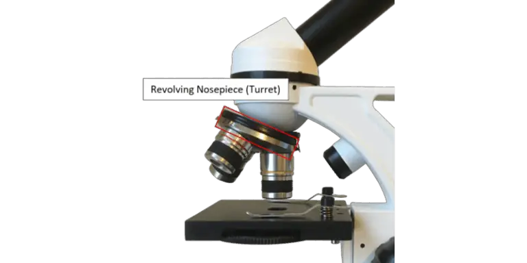 microscope-nosepiece-explained-microscope-clarity