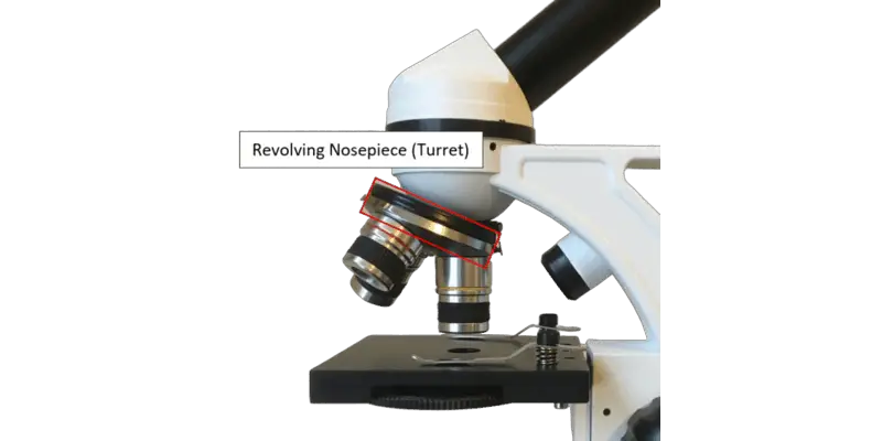 Revolving Nosepiece Microscope Function