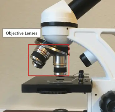 Microscope objective lens diagram