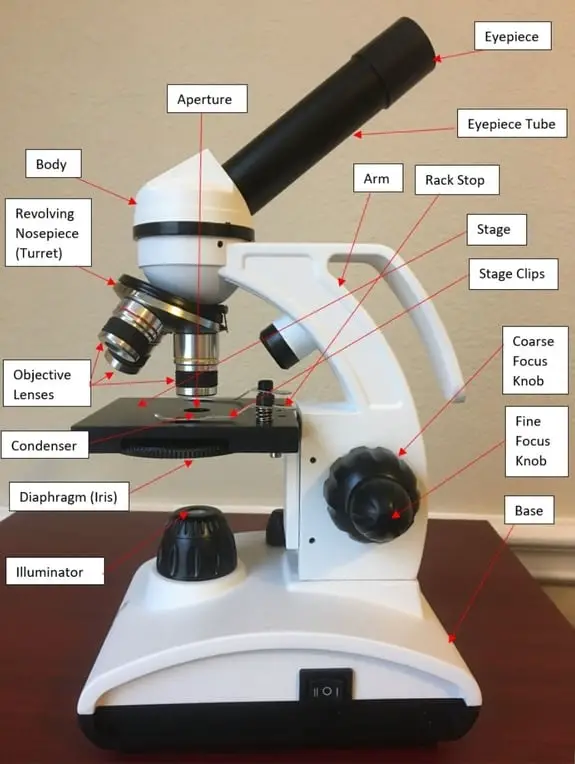 Labeling the Parts of the Microscope | Microscope World Resources