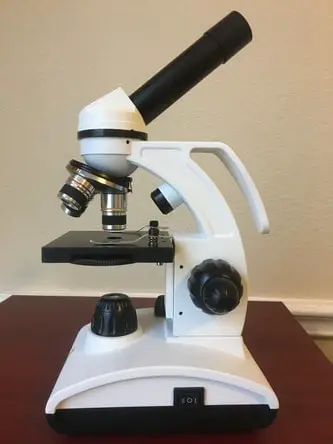 Upright microscope