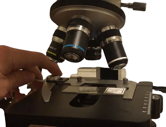 the-stage-of-a-microscope-where-the-story-is-told-microscope-clarity