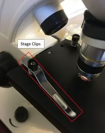 Microscope stage clips