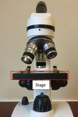 Microscope stage