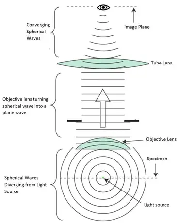 Microscope mechanics diagram