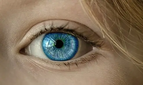 Iris of an eye