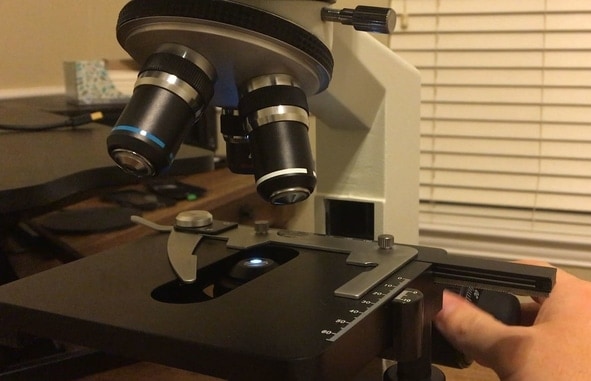 lookthrough microscope