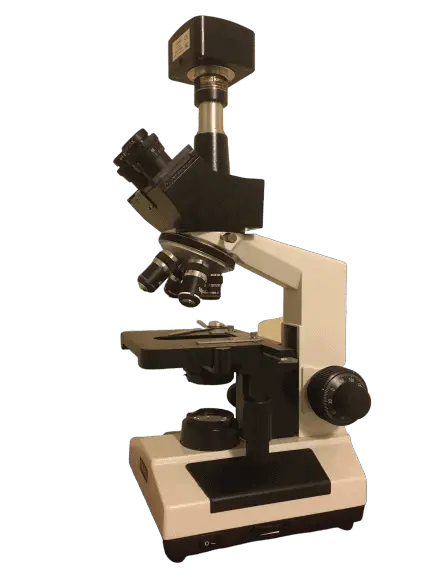 Trinocular compound microscope