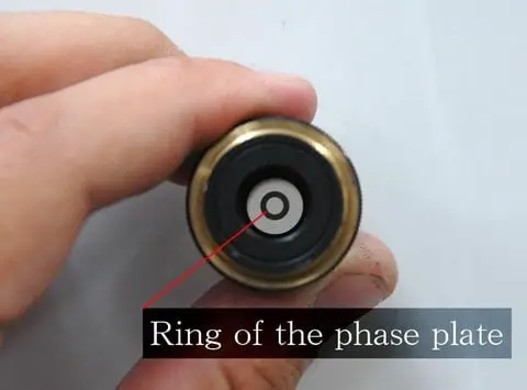 Phase plate ring on a phase contrast objective
