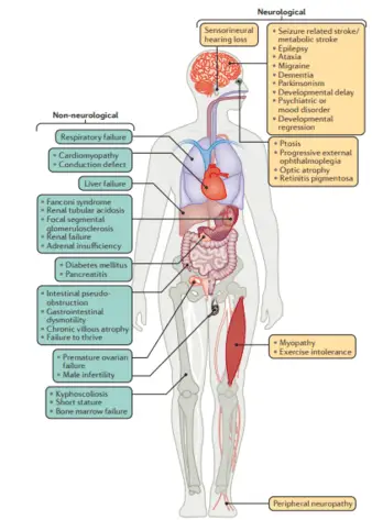 Clinical presentations of mitochondrial diseases