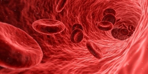 3D image of red blood cells