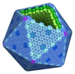 framework protein scaffold