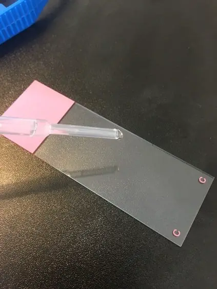 Pipette placing a water droplet on a slide