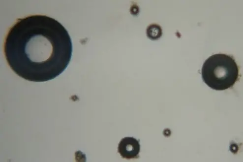 Air bubbles in a microscope slide