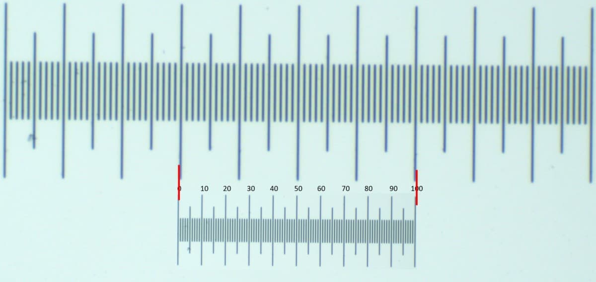 How to Measure the Size of a Specimen Under the Microscope Microscope