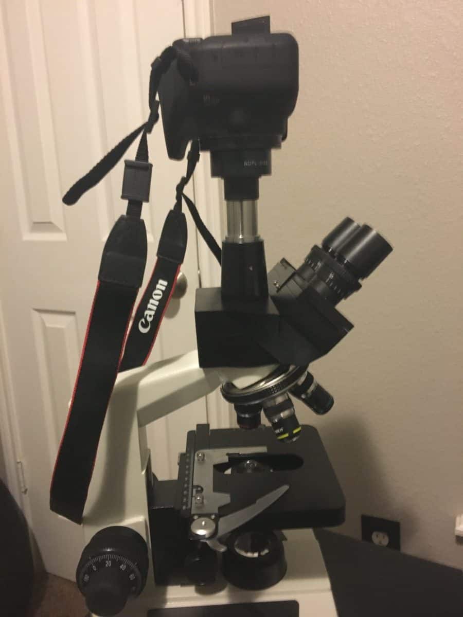 Microscope Camera Setup and Tips Microscope Clarity