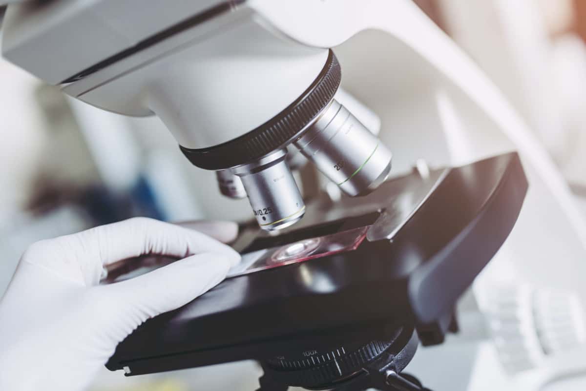 What is the Difference Between a Telescope and a Microscope